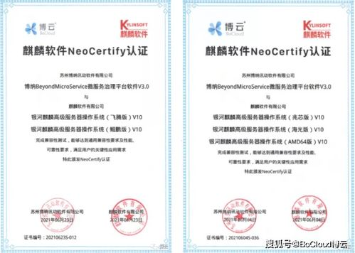 博云微服務產品與麒麟軟件完成兼容互認證，共筑國產化云原生生態