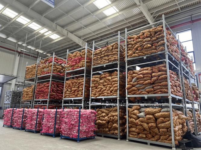 貴州首次！大蒜類生鮮農產品自主出口中東市場，生鮮食品邁出國際化關鍵一步